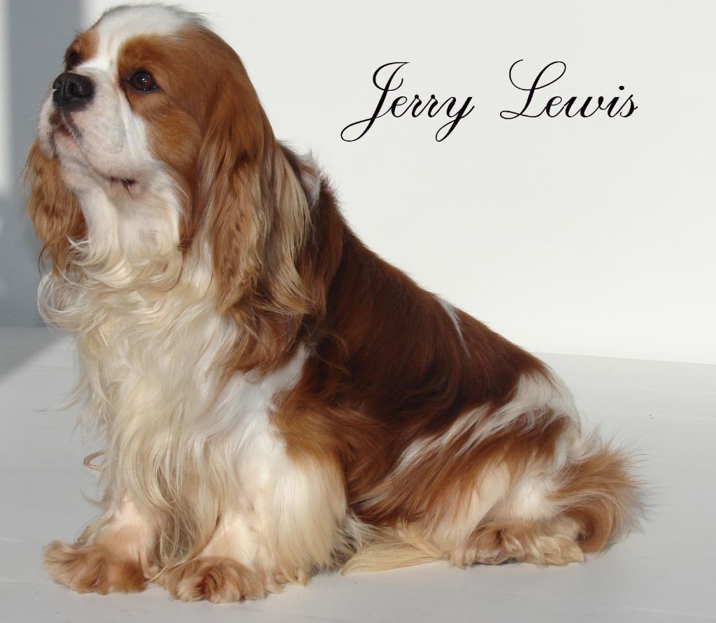 Jerry lewis De Manaëlle